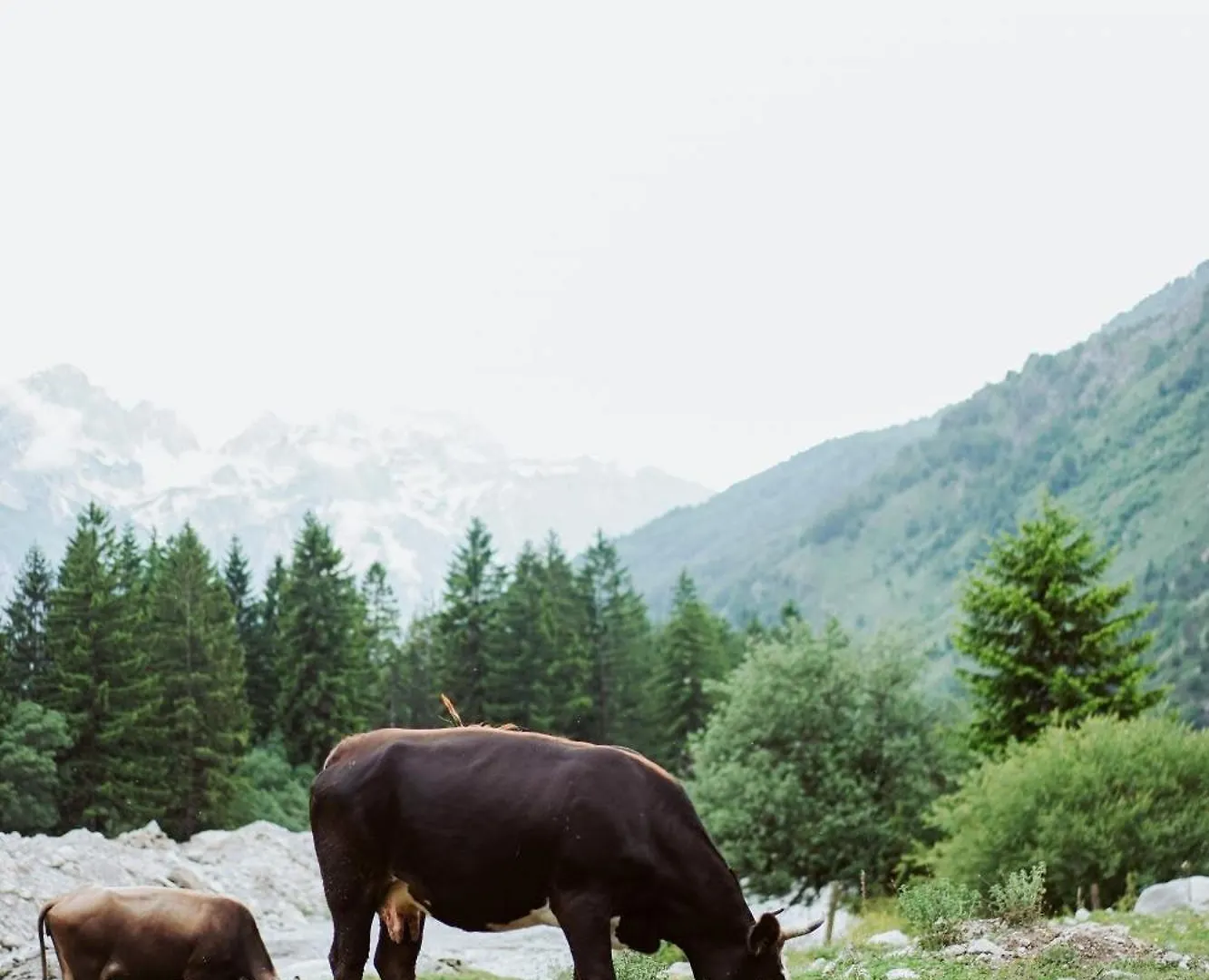 Valbona Resort & Spa Albania