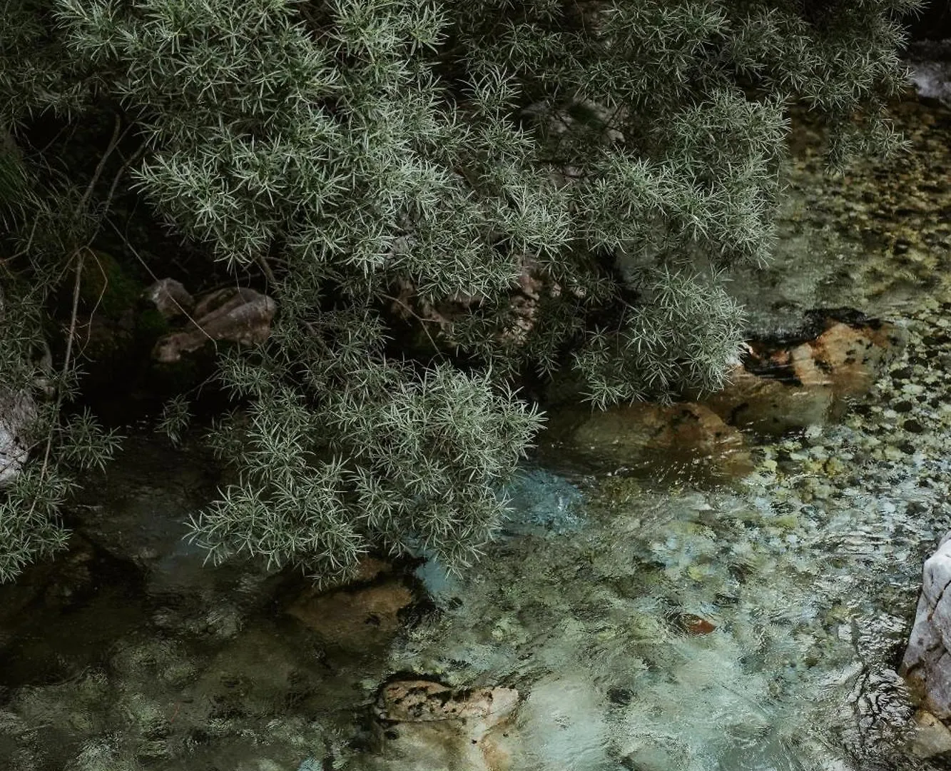 Valbona Resort & Spa